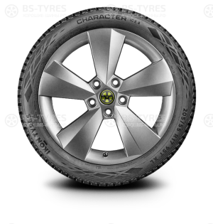 Ikon (Nokian Tyres) Character Ice 8 (Nordman 8) 205/55 R17 95T